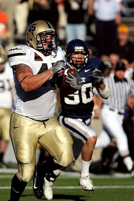 努力与拼搏 努力与拼搏